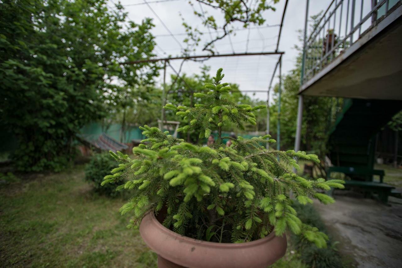 Zandukeli Inn Telavi Exterior foto